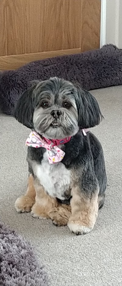 Grooming Van Image