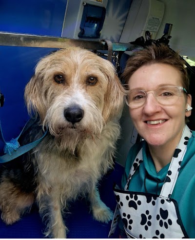 Grooming Van Image
