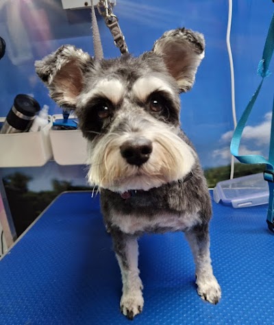 Grooming Van Image
