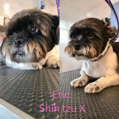 Grooming Van Image