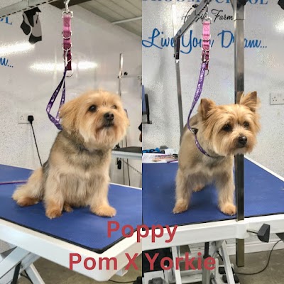 Grooming Van Image