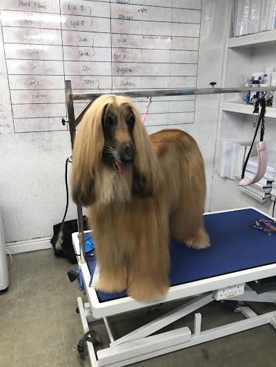 Grooming Van Image