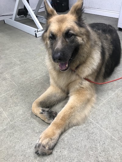 Grooming Van Image