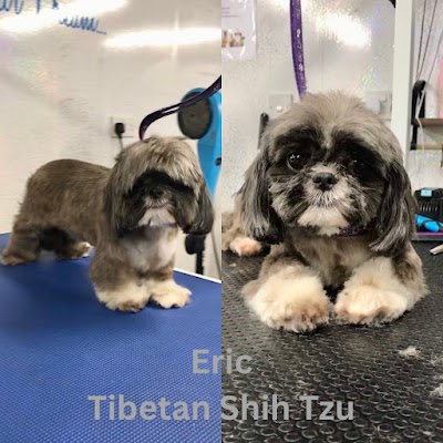 Grooming Van Image