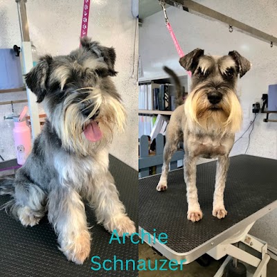 Grooming Van Image