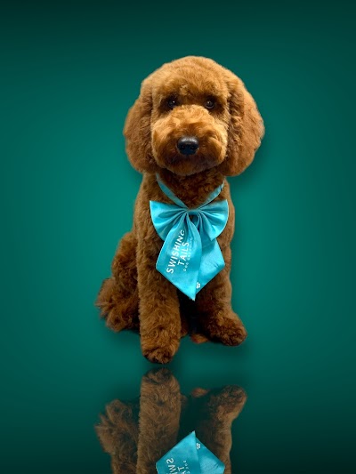 Swishing Tails Dog Grooming