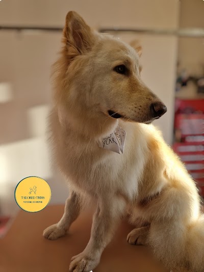 Grooming Van Image