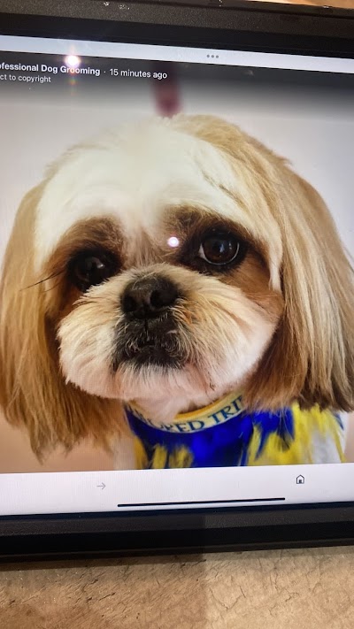 Grooming Van Image