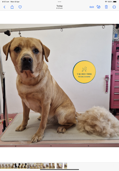 Grooming Van Image