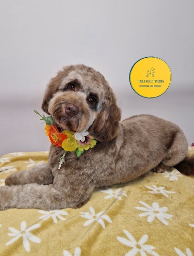 Tailored Trims-Professional Dog Grooming