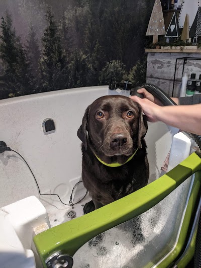 Grooming Van Image