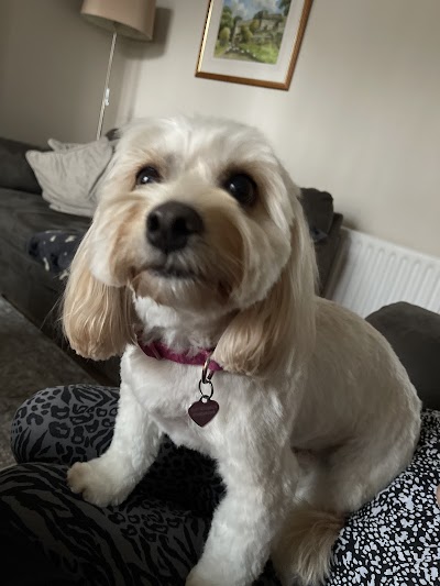 Grooming Van Image