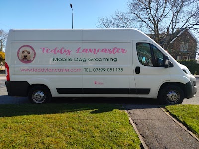 Grooming Van Image