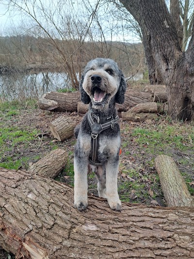 Grooming Van Image