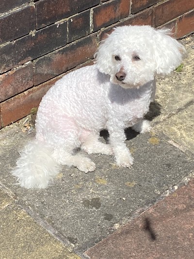 Grooming Van Image