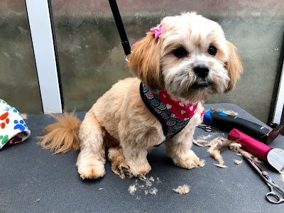 Grooming Van Image
