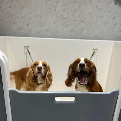 Grooming Van Image