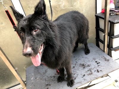 Grooming Van Image