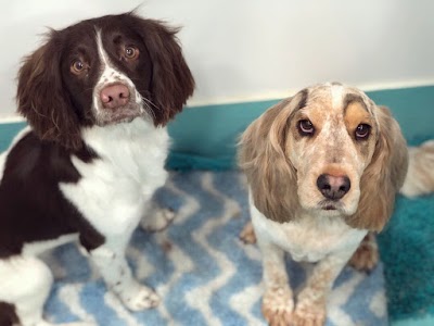 Grooming Van Image