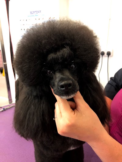 Grooming Van Image