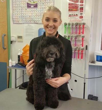 Grooming Van Image