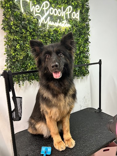 Grooming Van Image