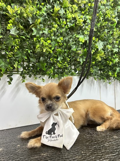 Grooming Van Image