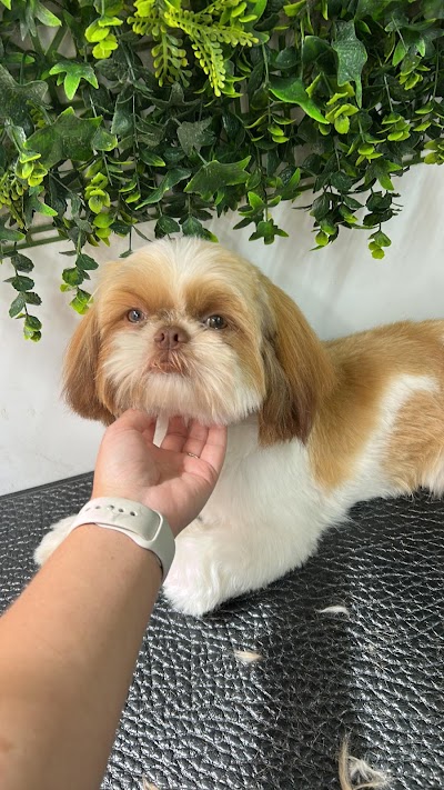 Grooming Van Image
