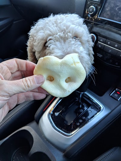 Grooming Van Image
