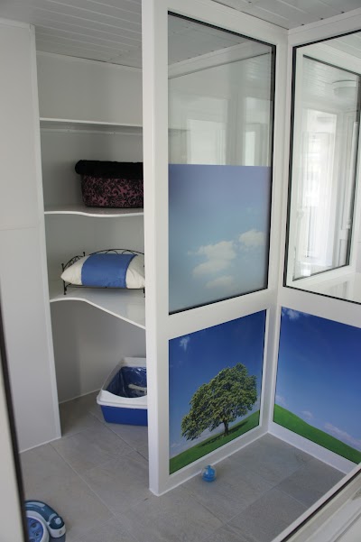 Grooming Van Image