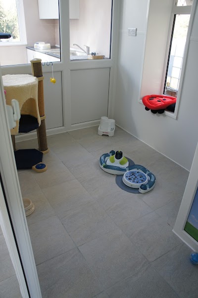 Grooming Van Image
