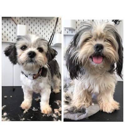 Grooming Van Image