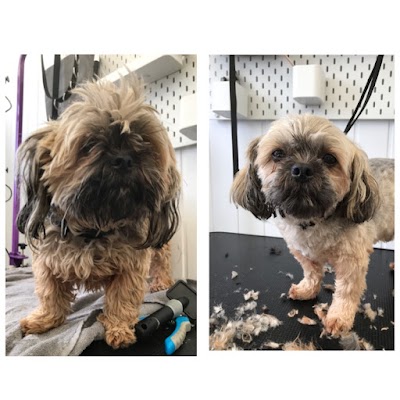 Grooming Van Image