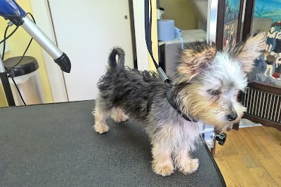 Grooming Van Image