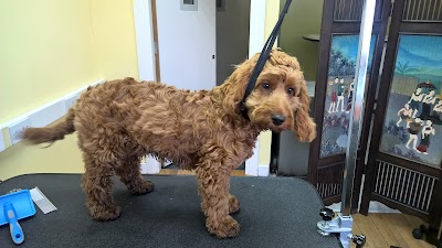 Grooming Van Image