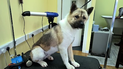 Grooming Van Image