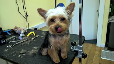 Grooming Van Image