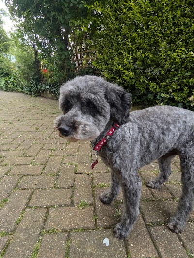 Grooming Van Image