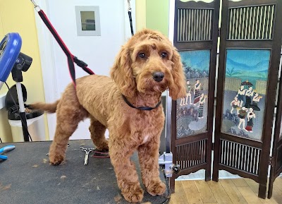 Grooming Van Image