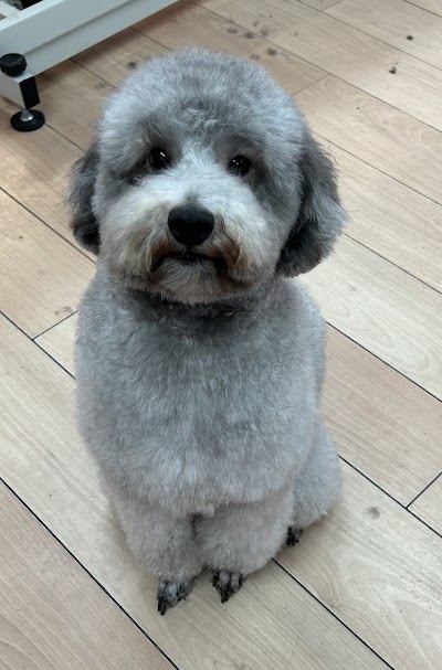 Grooming Van Image