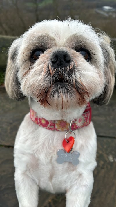 Grooming Van Image