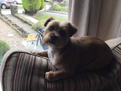 Grooming Van Image