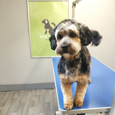 Wag & Bone Dog Grooming