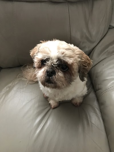 Grooming Van Image