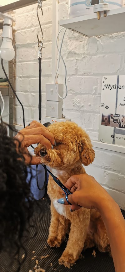 Grooming Van Image