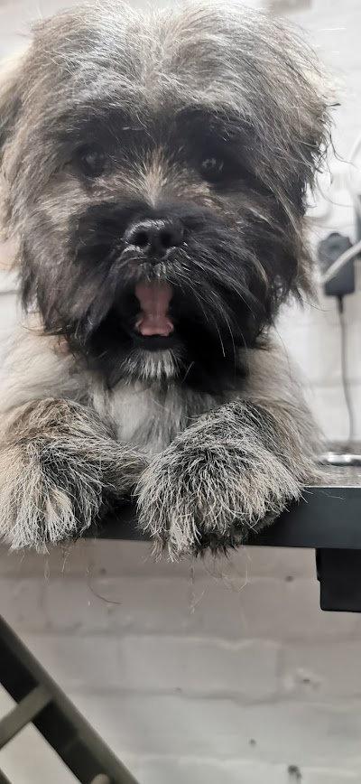 Grooming Van Image