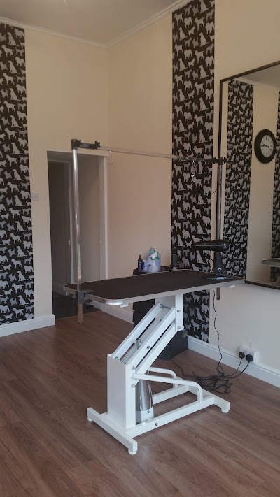 Grooming Van Image