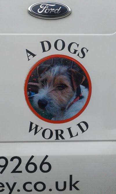 A Dogs World