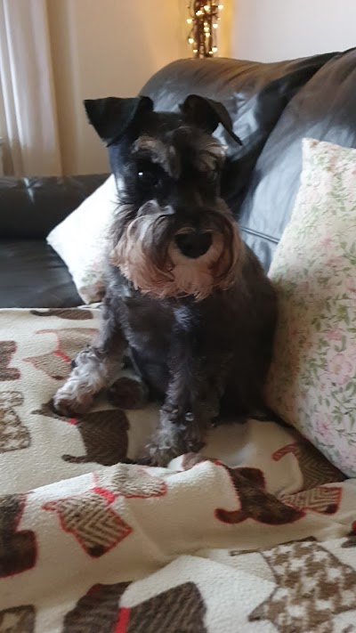 Grooming Van Image