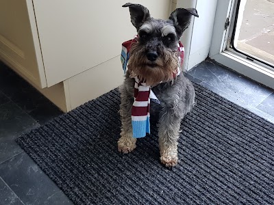 Grooming Van Image